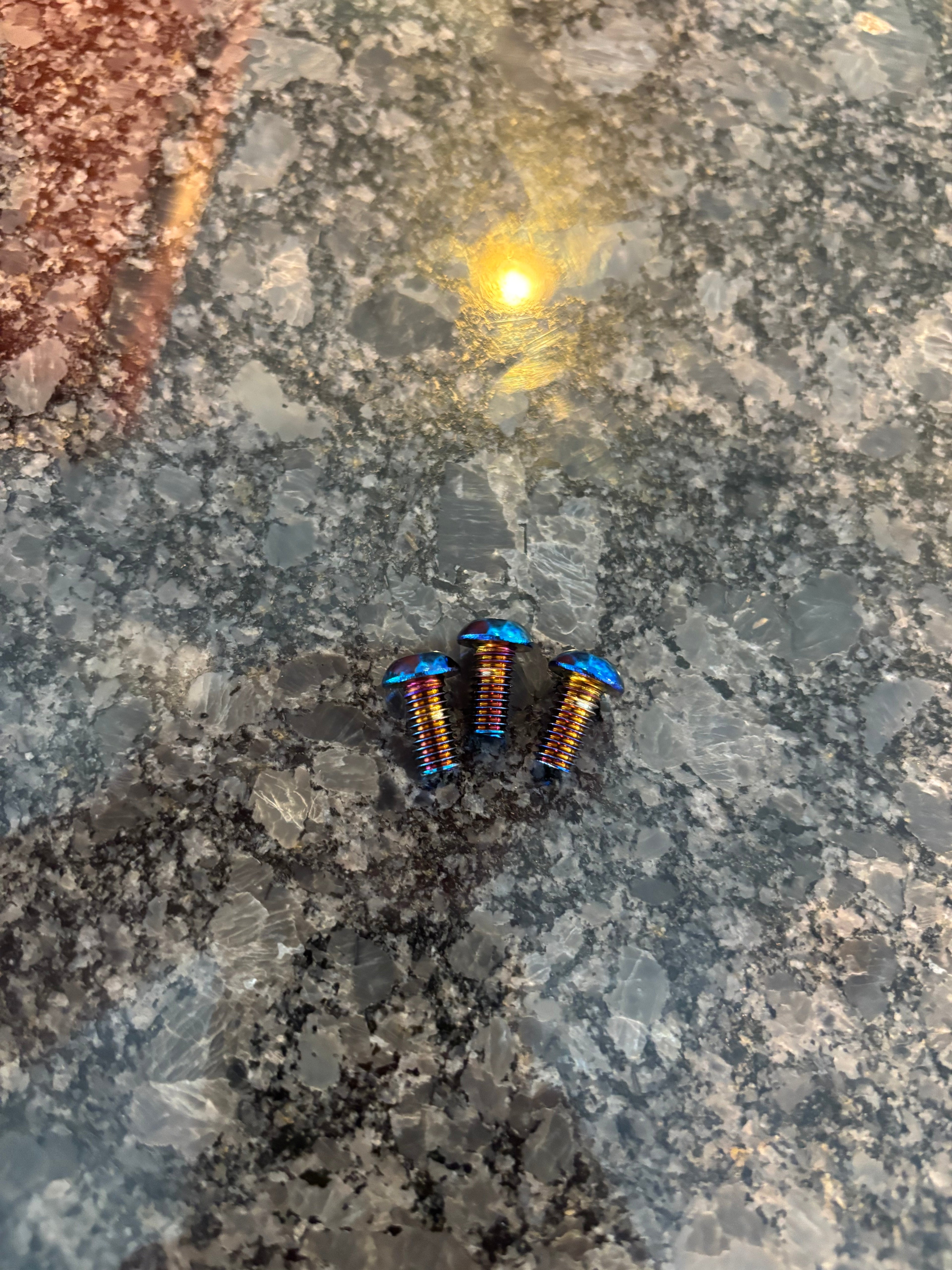 Talaria Ignition Cover Titanium Bolts.