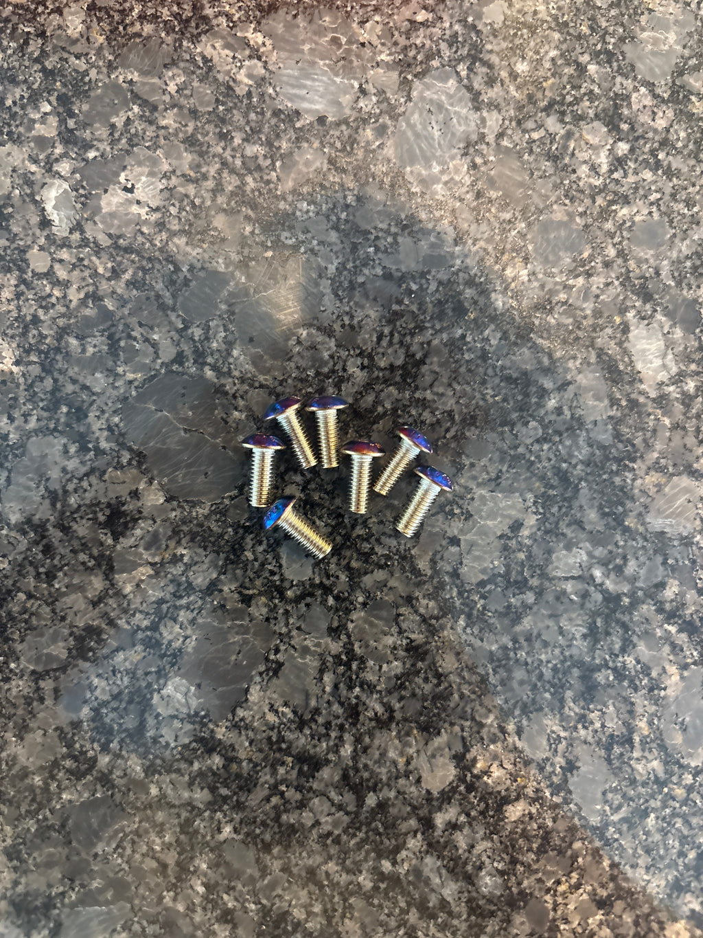 Talaria Side Panel Bolts.