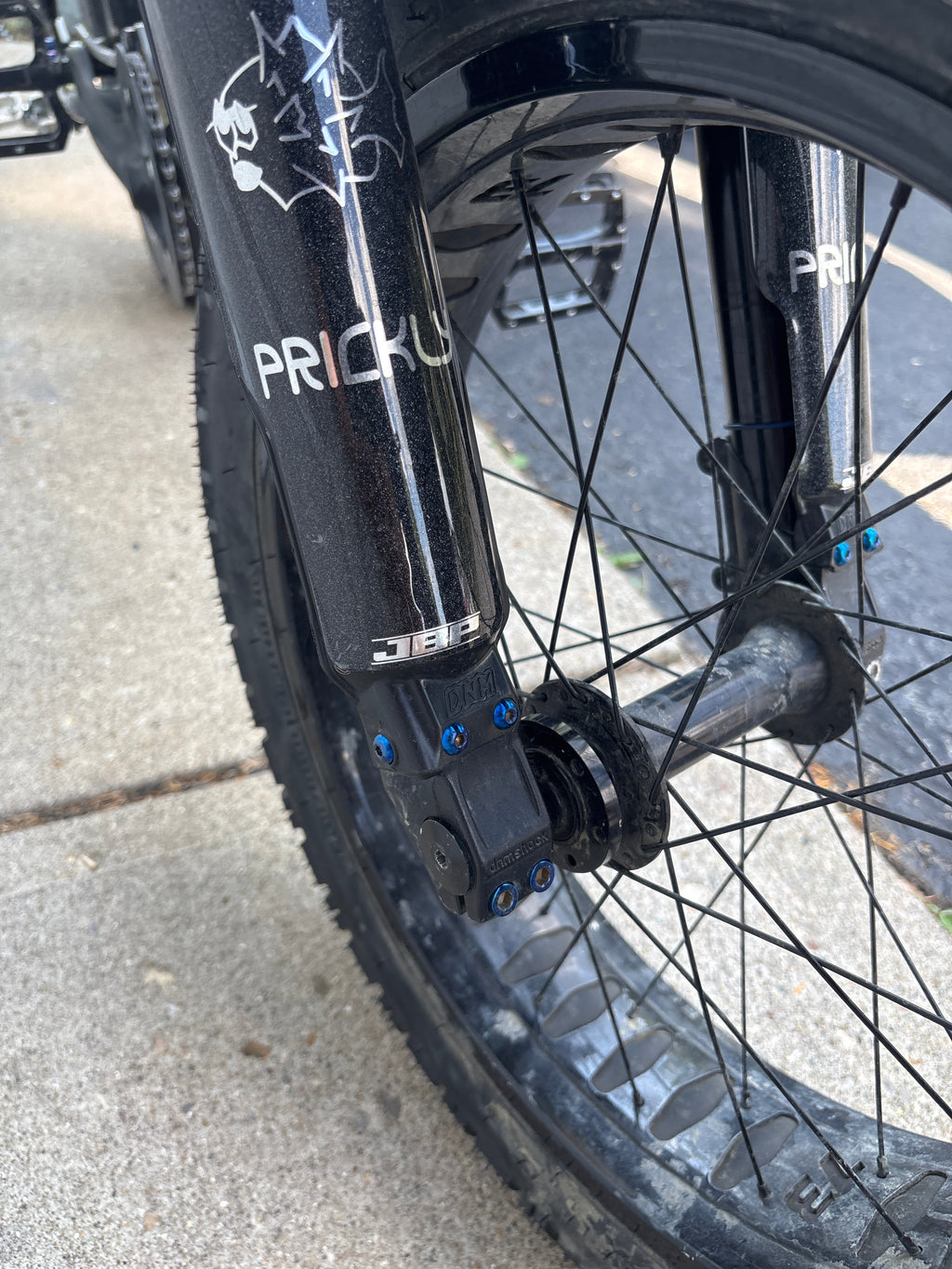 Fork Guard Titanium Bolts.